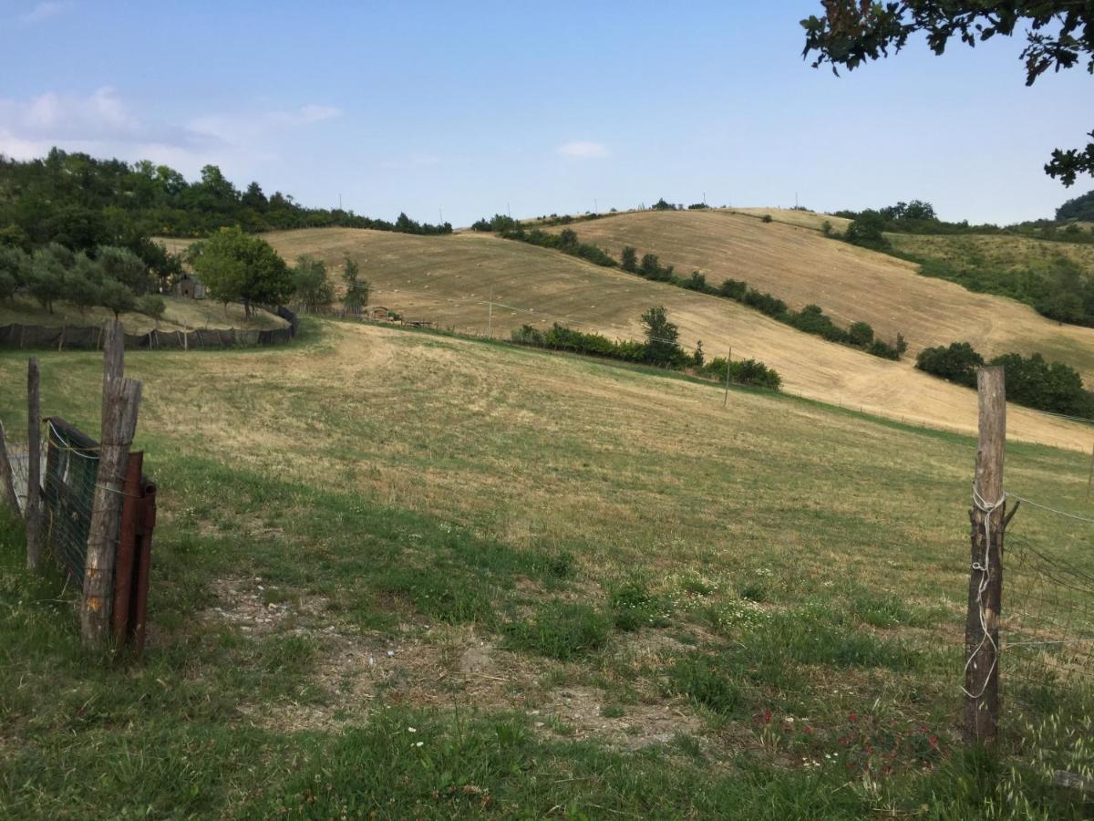 Villa La Palazzina Di Ciagnano Ozzano dell’Emilia Exterior foto
